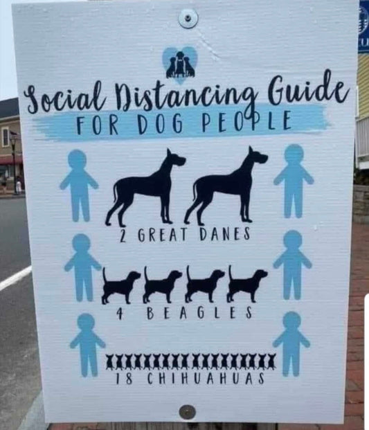 Dogs + Covid