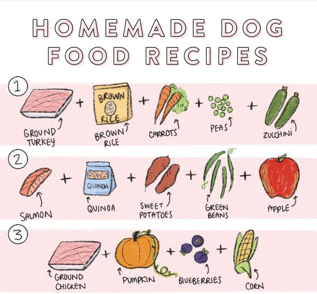 Homemade Dog Food Recipes